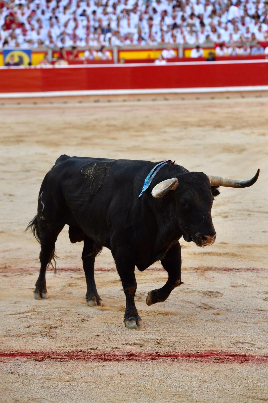 Pamplona. Miércoles 10 de julio de 2019. Feria de San Fermín. Toros de Jandilla y Vegahermosa para Diego Urdiales, Sebastián Castella y Roca Rey