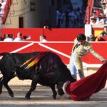 Pamplona. Domingo 7 de julio de 2019