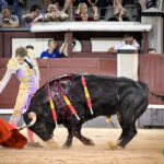 Madrid, jueves 4 de julio de 2019