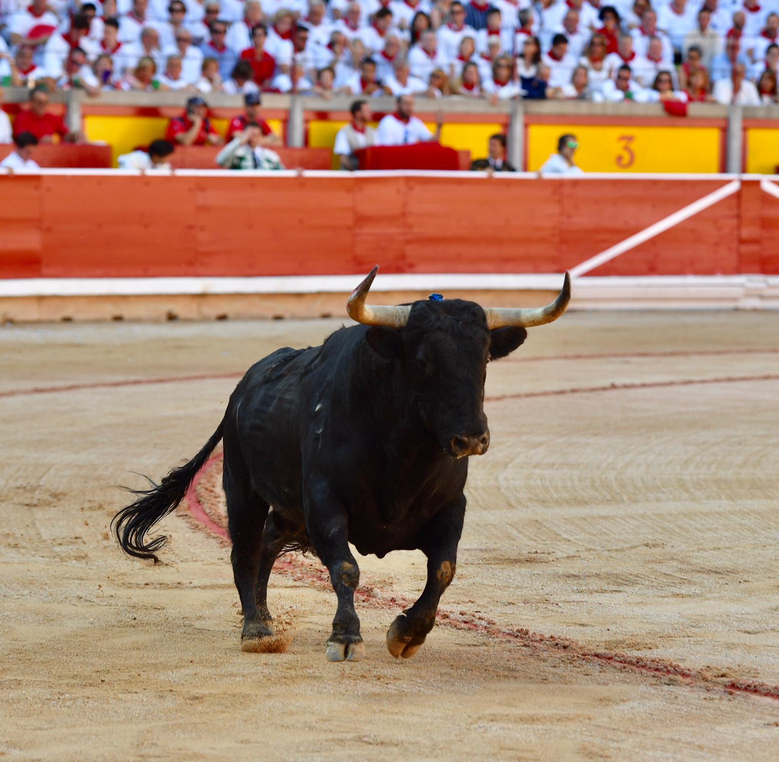 Pamplona. Miércoles 10 de julio de 2019. Feria de San Fermín. Toros de Jandilla y Vegahermosa para Diego Urdiales, Sebastián Castella y Roca Rey