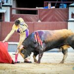 Madrid, jueves 4 de julio de 2019