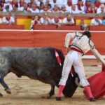Pamplona. Martes 9 de julio de 2019
