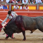 Pamplona. Martes 9 de julio de 2019