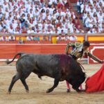 Pamplona. Martes 9 de julio de 2019