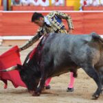 Pamplona. Martes 9 de julio de 2019