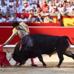 Pamplona. Domingo 7 de julio de 2019