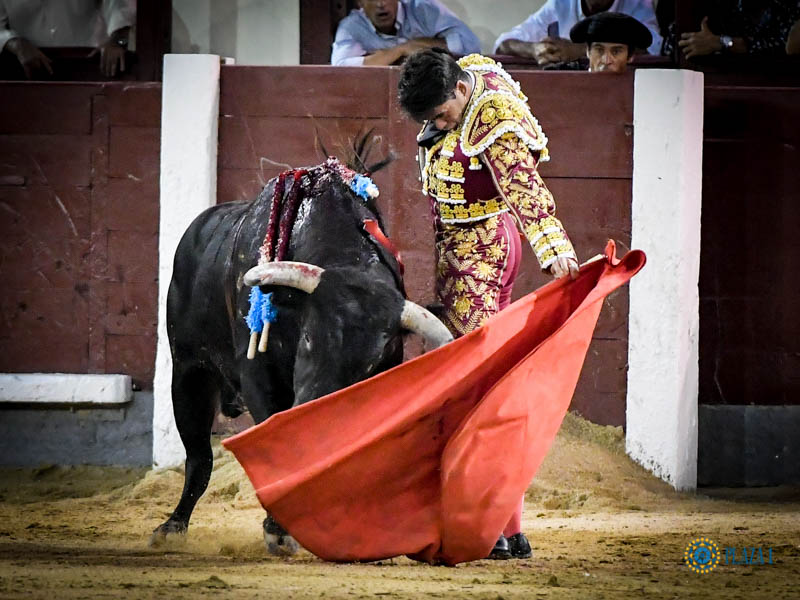 Madrid. Jueves 11 de julio de 2019