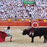 Pamplona. Miércoles 10 de julio de 2019. Feria de San Fermín. Toros de Jandilla y Vegahermosa para Diego Urdiales, Sebastián Castella y Roca Rey