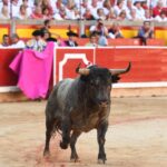 Pamplona. Martes 9 de julio de 2019