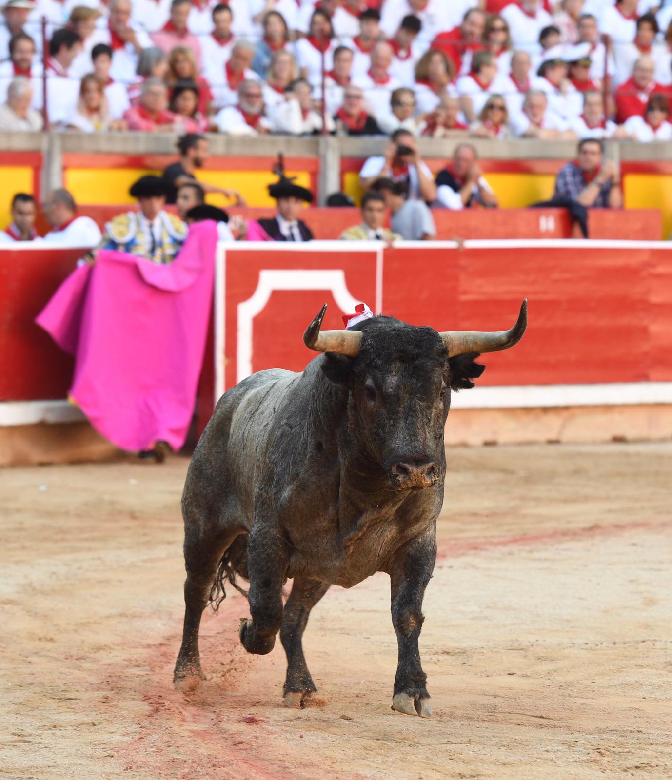 Pamplona. Martes 9 de julio de 2019