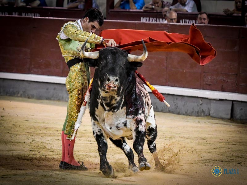 Madrid. Jueves 11 de julio de 2019