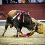 Madrid, jueves 4 de julio de 2019