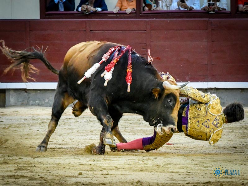 Madrid, jueves 4 de julio de 2019