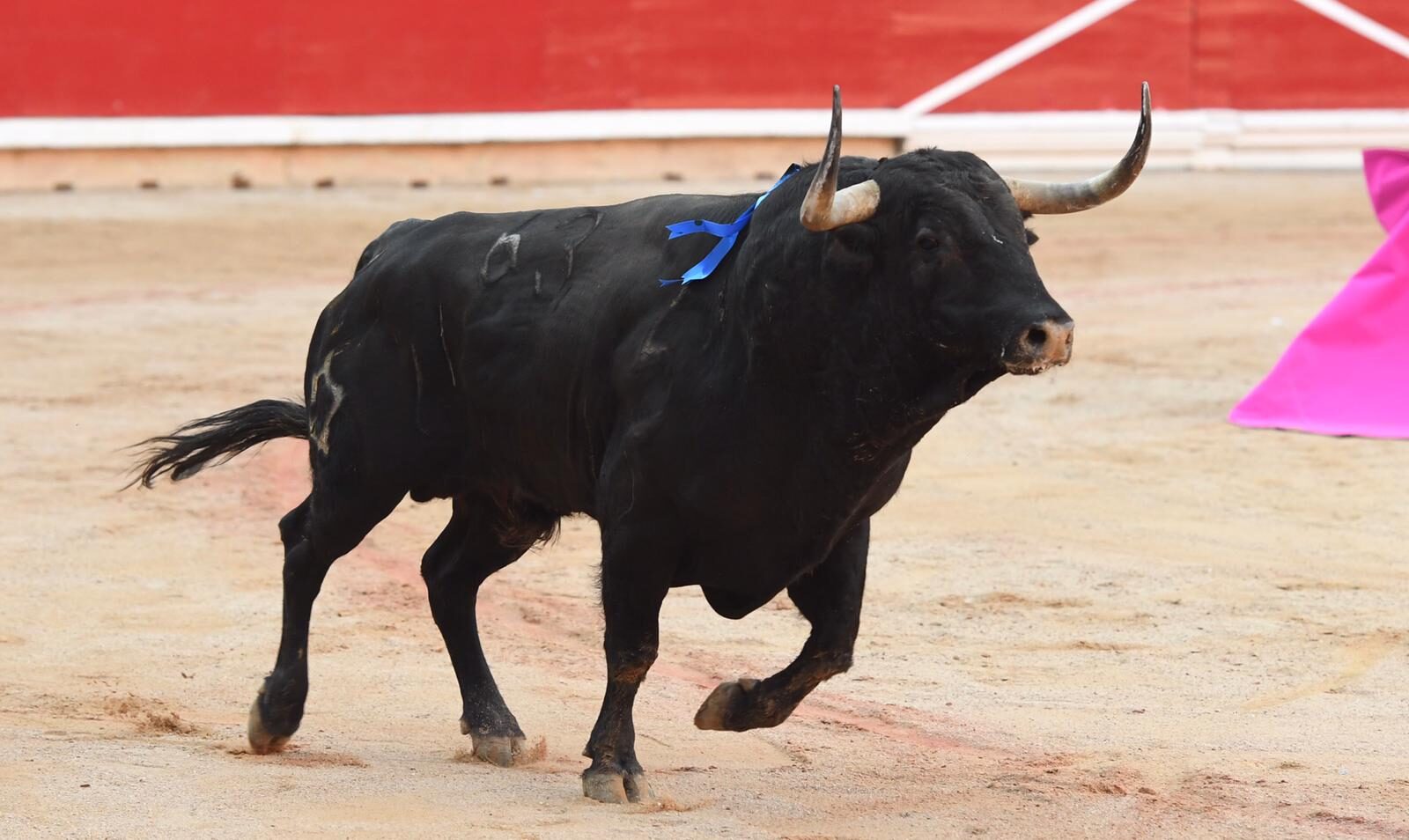 Pamplona. Miércoles 10 de julio de 2019. Feria de San Fermín. Toros de Jandilla y Vegahermosa para Diego Urdiales, Sebastián Castella y Roca Rey
