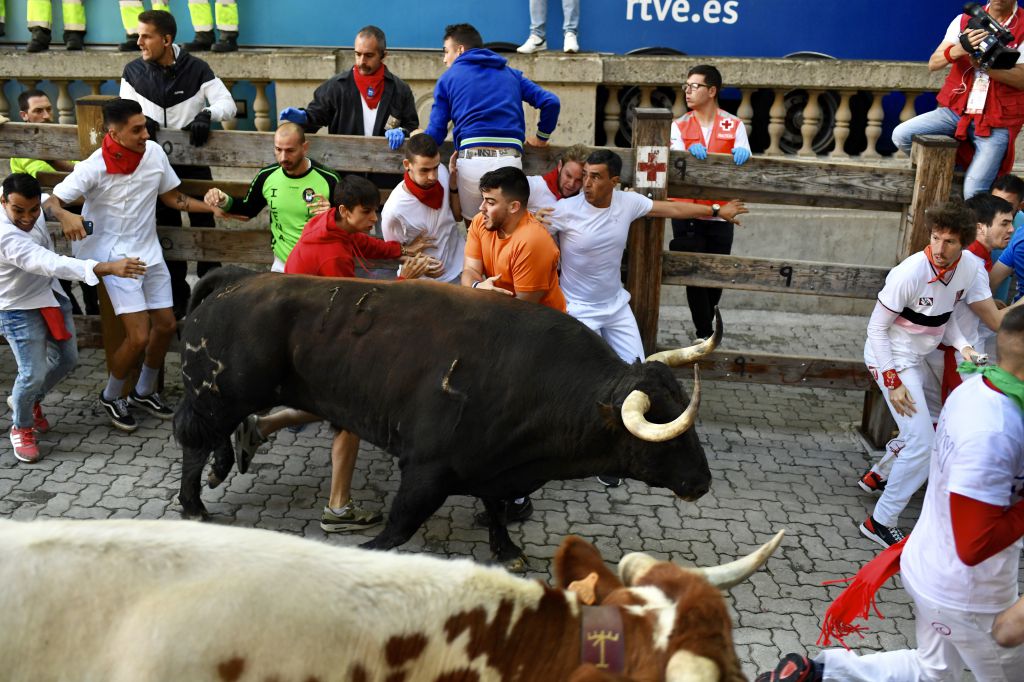 Jandilla vuela en Pamplona