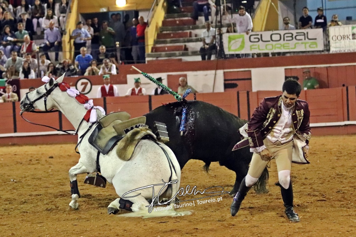 Sucesión de percances en el festejo de Coruche