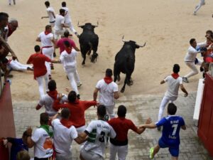 Encierro 7 de julio. Toros de Puerto de San Lorenzo