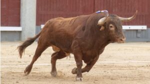 Madrid. Domingo 16 de junio de 2019