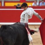 Pamplona. Miércoles 10 de julio de 2019. Feria de San Fermín. Toros de Jandilla y Vegahermosa para Diego Urdiales, Sebastián Castella y Roca Rey