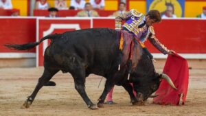 Pamplona. Jueves 11 de julio de 2019