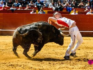 Día del Bou. Valencia, 10 de marzo de 2019