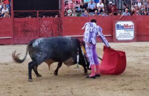 Moraleja, viernes 12 de julio de 2019