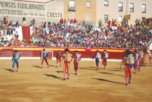 Plaza de toros de Roa de Duero