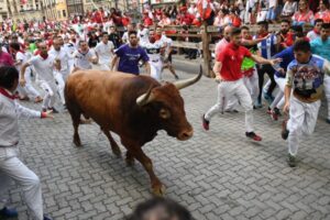 Pamplona, domingo 14 de julio de 2019. Encierro con toros de Miura