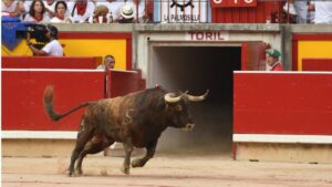Pamplona, sábado 13 de julio de 2019