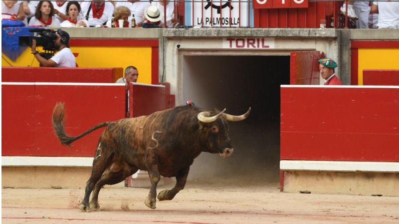 La Casa de Misericordia y el Club Taurino de Pamplona fallan sus premios