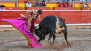 Pamplona, domingo 14 de julio de 2019