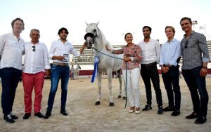 Mejanes. Homenaje a Diego ventura