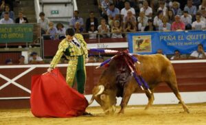 Mont de Marsan, sábado 20 de julio de 2019. Novillada nocturna