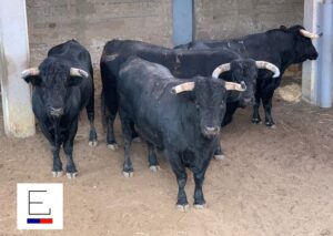 Sorteo. Santander, 21 de julio de 2019