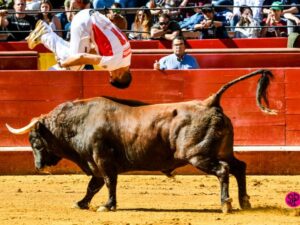 Día del Bou. Valencia, 10 de marzo de 2019