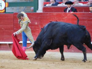 Valencia. Sábado 27 de julio de 2019