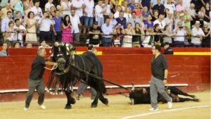 Valencia. Domingo 28 de julio de 2019