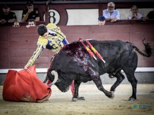 Madrid, jueves 18 de julio de 2019.