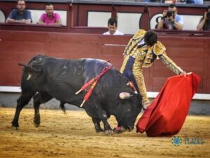 Madrid. Nocturna. Jueves 11 de julio de 2019