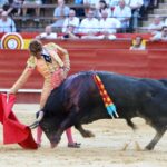 Valencia. Jueves 25 de julio de 2019