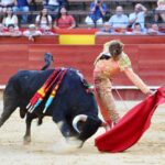 Valencia. Jueves 25 de julio de 2019