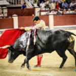 Madrid, domingo 11 de agosto de 2019