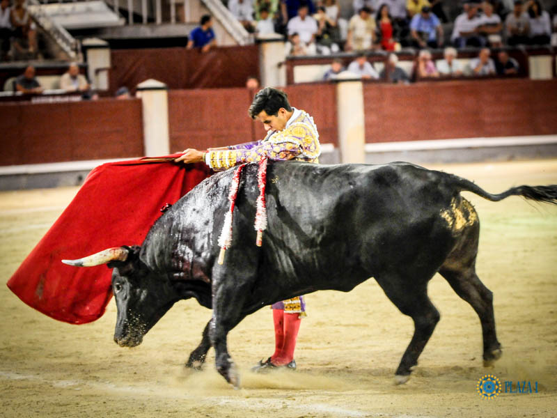 Madrid, domingo 11 de agosto de 2019