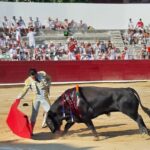 Estella, sábado 3 de agosto de 2019