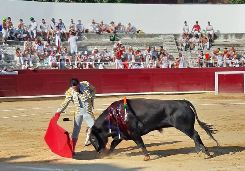 Estella, sábado 3 de agosto de 2019