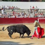 Estella, sábado 3 de agosto de 2019