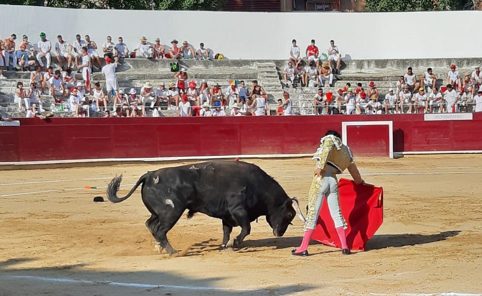 Estella, sábado 3 de agosto de 2019