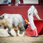 Sorteo. Madrid, domingo 18 de agosto de 2019