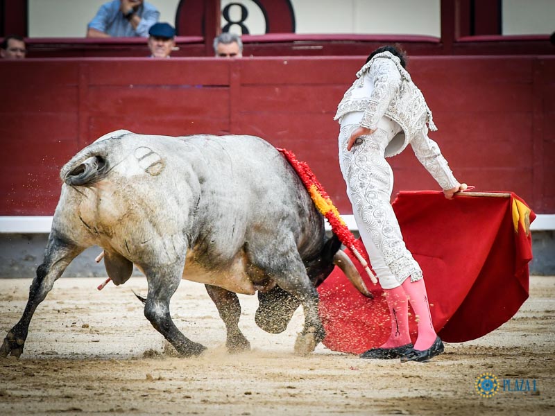 Sorteo. Madrid, domingo 18 de agosto de 2019