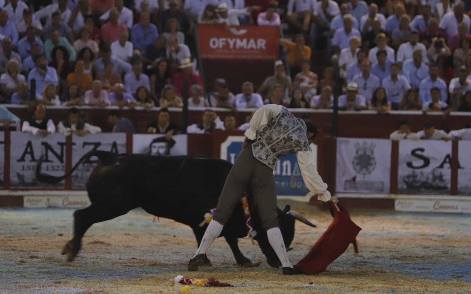 Palencia, viernes 30 de agosto de 2019